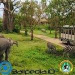 Bali Safari Park: Lokasi, Daya Tarik Wisata dan Harga Tiket Masuk