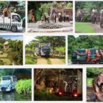 Foto Bali Safari And Marine Park