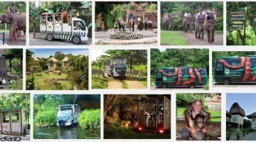 Foto Bali Safari And Marine Park