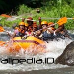 Harga Tiket Toekad Rafting Ubud Bali 2020