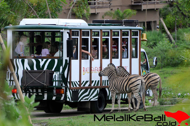 Bali Safari Marine Park