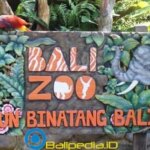 Harga Tiket Masuk Bali Zoo Park 2022 – Kebun Binatang Bali