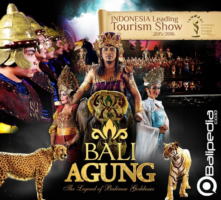 Jadwal Atraksi Bali Safari