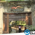 Bali Bird Park : Wisata Taman Burung Menarik dan Edukatif Bagi Keluarga