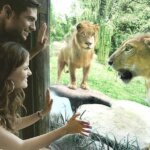 Yuk Ajak Keluarga Bermain dan Belajar di Bali Zoo