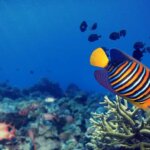 Coba Pengalaman Baru! Berbagai Pilihan Aktivitas Liar dan Menantang di Bali Bagi yang Hobi Basah-Basahan