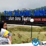 #Update: Harga Tiket Masuk The Blooms Garden Bedugul Bali 2026