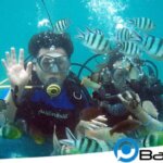Cara Melakukan Scuba Diving Tanjung Benoa Bali