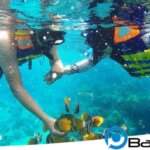 Harga Snorkeling di Tanjung Benoa Bali
