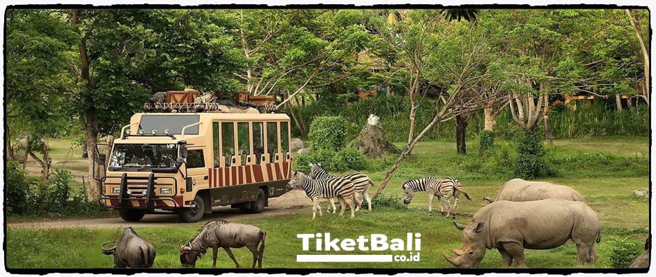 Taman safari 2022 tiket bogor TAMAN SAFARI