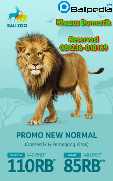 Harga Bali Zoo Domestik