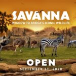 Bali Zoo Park – Cek 2 Hal Baru Disini