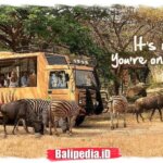 Bali Safari Marine Park – Bukan Hanya Kebun Binatang