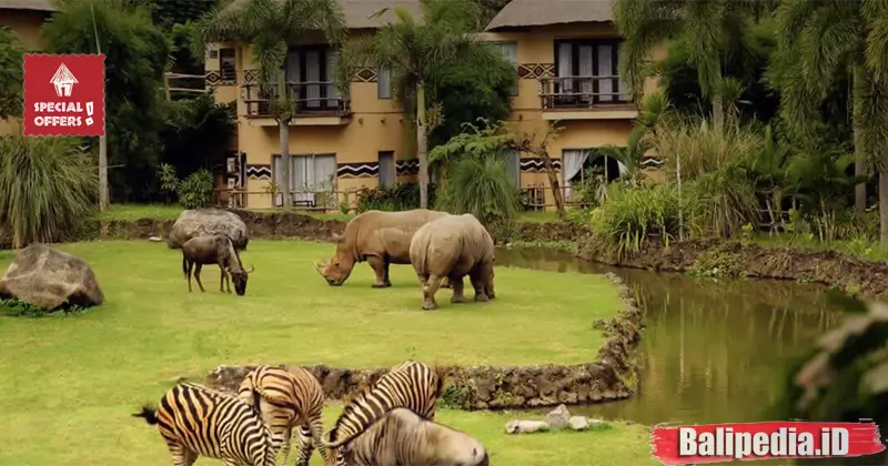 Hotel dekat Taman Safari Bali