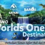 Perbedaan Taman Safari Bali dan Marine Safari Bali